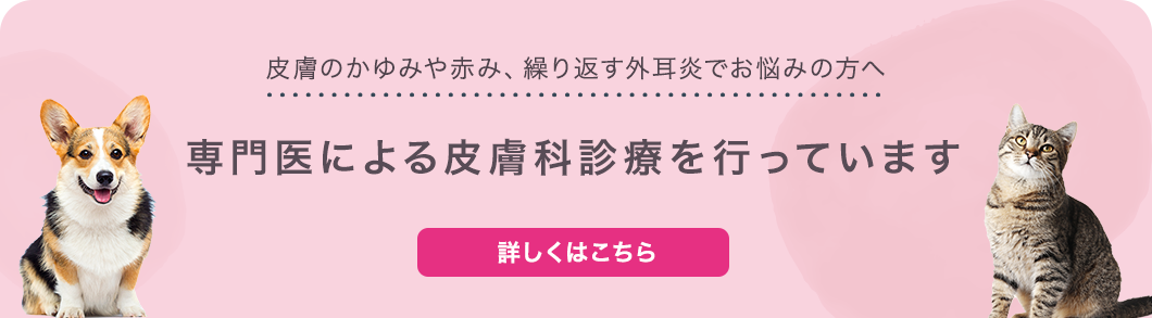 専門医による皮膚科診療を行っています