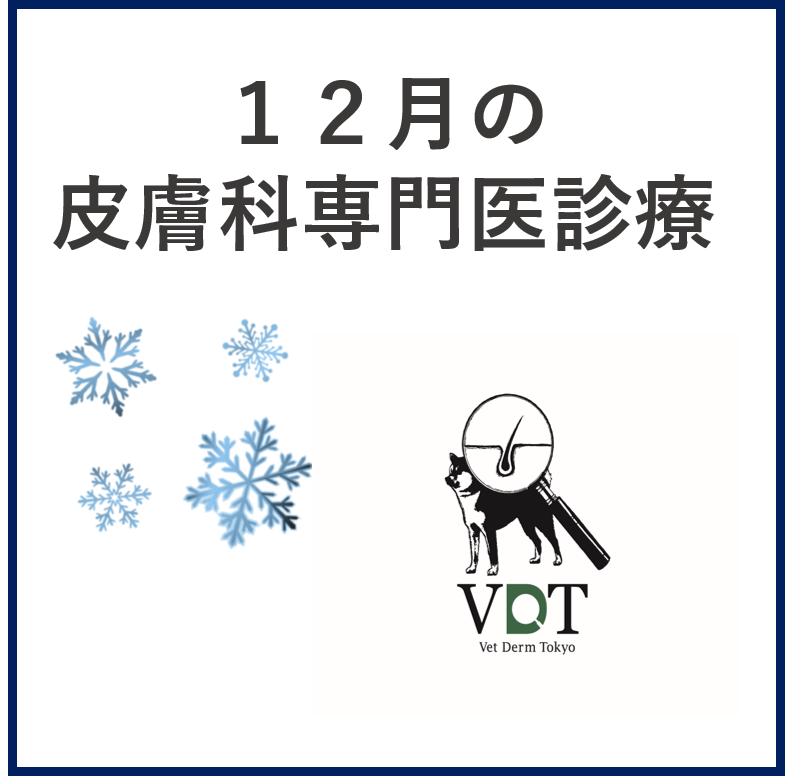 松井山手動物病院 松井山手動物病院