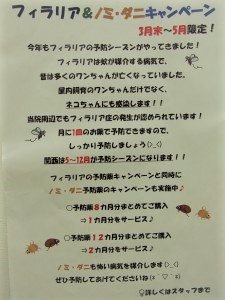 フィラリア＆ノミ・ダニキャンペ－ン